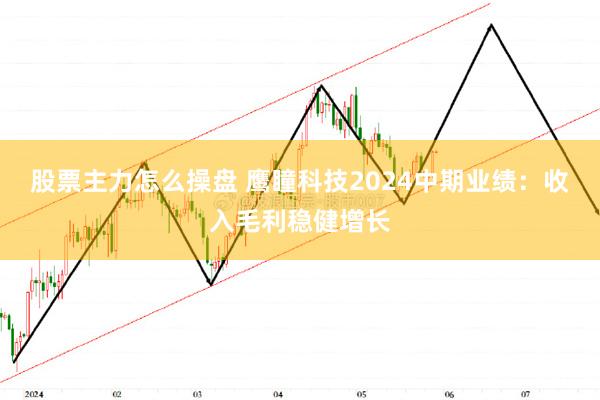 股票主力怎么操盘 鹰瞳科技2024中期业绩：收入毛利稳健增长