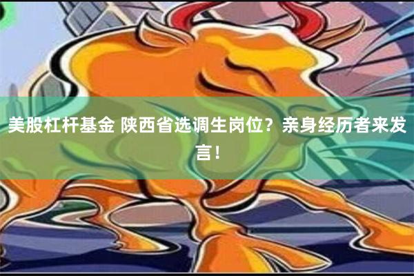 美股杠杆基金 陕西省选调生岗位？亲身经历者来发言！