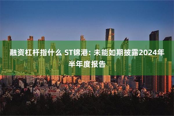 融资杠杆指什么 ST锦港: 未能如期披露2024年半年度报告