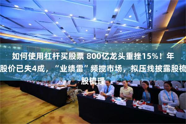 如何使用杠杆买股票 800亿龙头重挫15%！年内股价已失4成