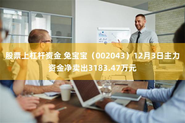 股票上杠杆资金 兔宝宝（002043）12月3日主力资金净卖出3183.47万元