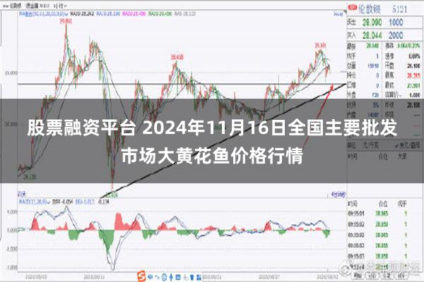 股票融资平台 2024年11月16日全国主要批发市场大黄花鱼