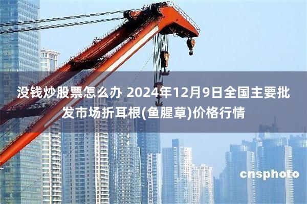 没钱炒股票怎么办 2024年12月9日全国主要批发市场折耳根