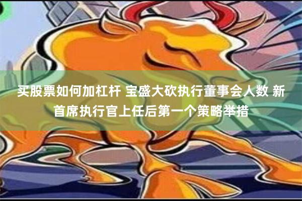 买股票如何加杠杆 宝盛大砍执行董事会人数 新首席执行官上任后